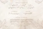 Senja Font