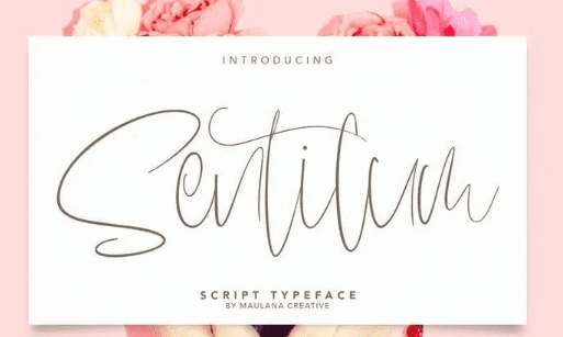 Sentilum Script Calligraphy Handmade Font Typeface