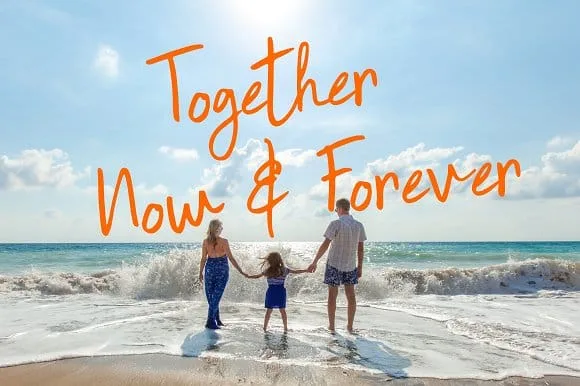 Sentimental Script Font Family