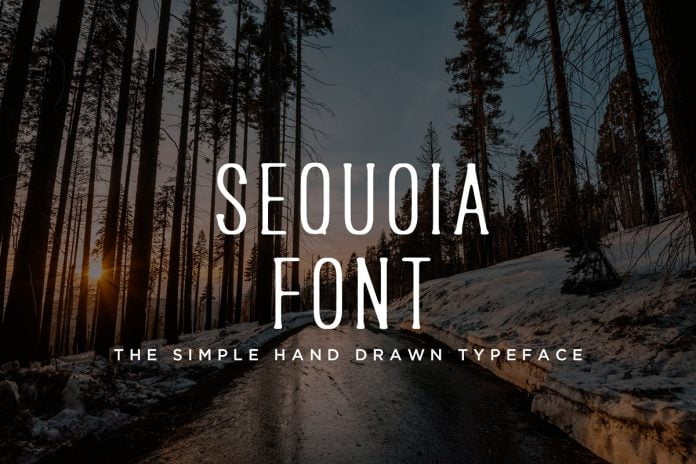 Sequoia - Hand Drawn Font