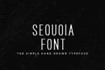 Sequoia - Hand Drawn Font