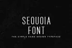 Sequoia - Hand Drawn Font