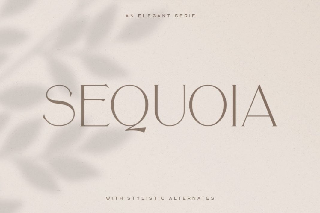 Sequoia Typeface Font