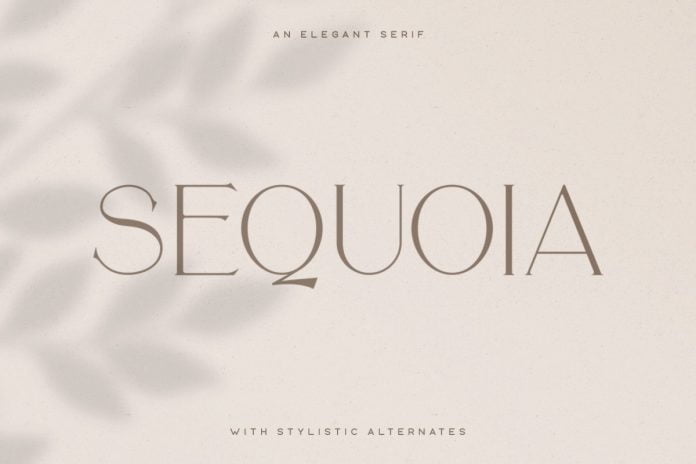 Sequoia Typeface Font