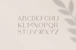 Sequoia Typeface Font