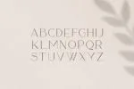Sequoia Typeface Font