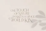 Sequoia Typeface Font