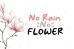 Serene Memories Font