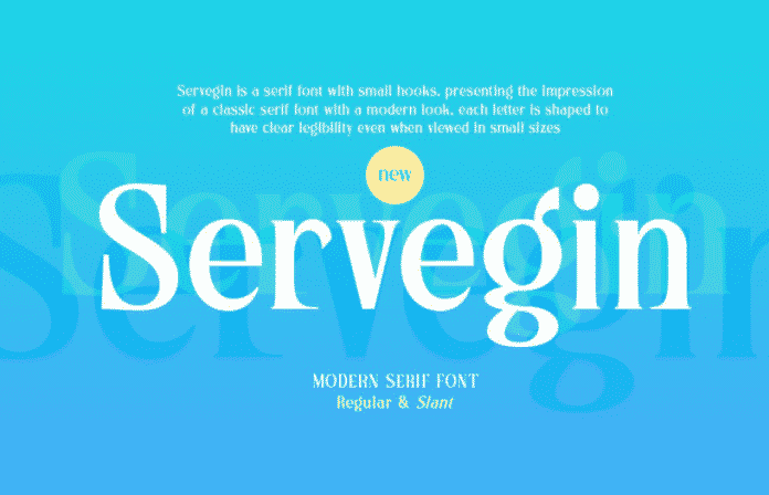 Servegin - Modern Serif Font