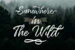 Seymore – Brush Script Font
