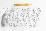 Shallymore Font