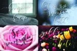 Shania Sweet Calligraphy Font