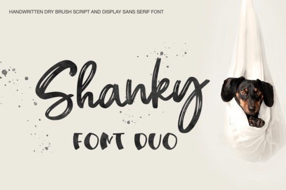 Shanky Font