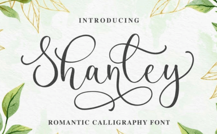 Shanley - Romantic Calligraphy Font