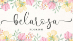 Shanley - Romantic Calligraphy Font