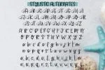 Shark Bite Font