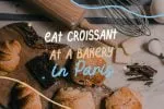 Shato Pinot Duo Font