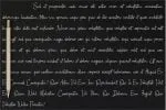 Shauqy Font