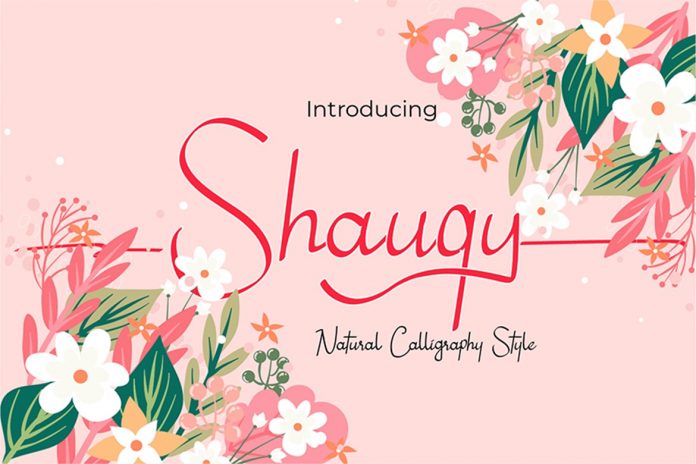 Shauqy - Natural Calligrapy Style Font