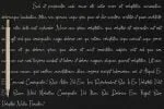 Shauqy - Natural Calligrapy Style Font
