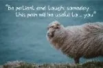 Sheep Sheep Font