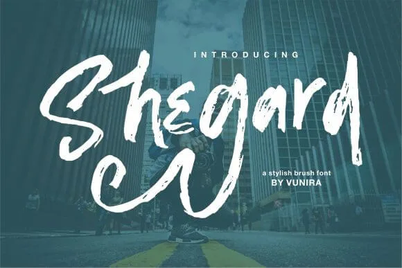 Shegard Font