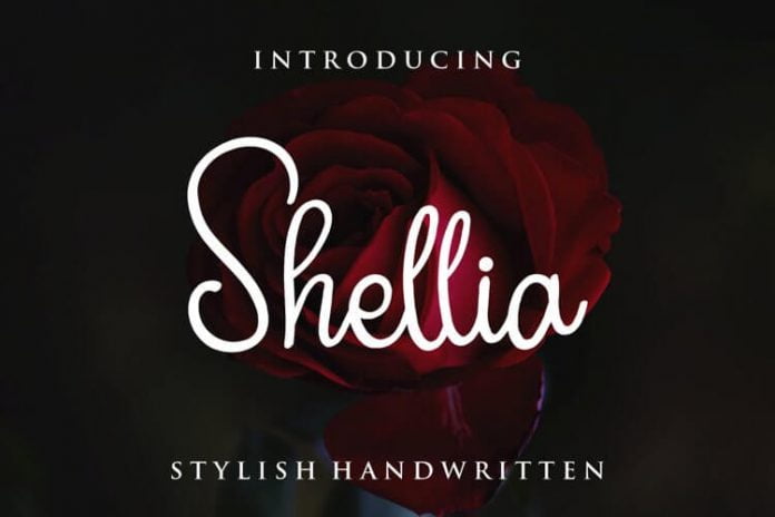 Shellia Script Font