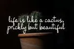 Shenttica Font