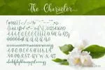 Shidea Font