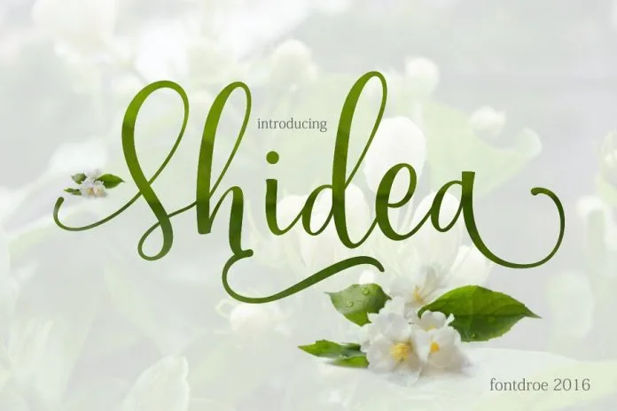Shidea Font Shidea Font