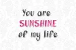 Shine Classic Font