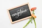 Shintha Font
