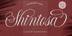 Shintosa Script Font Family