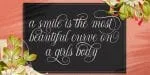 Shintosa Script Font Family