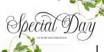 Shintosa Script Font Family