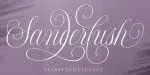 Shintosa Script Font Family
