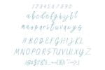 Shinttya Font