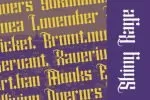 Shiny Kage Font