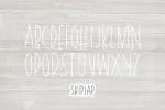 Shiplap Font