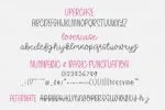 Shiro Font