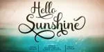 Shocking Script Font Family