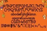 Shoofly Font