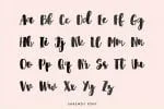 Shrewdy Script Font