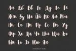 Shrewdy Script Font