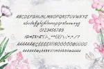 Shurjota Font