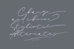 Sieralova - A Beauty Handwritten Signature Font3