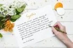 SignPink Font