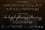 Signa Font