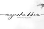 Signalis Script Font