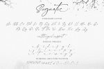 Signatie - Stylish Signature Font